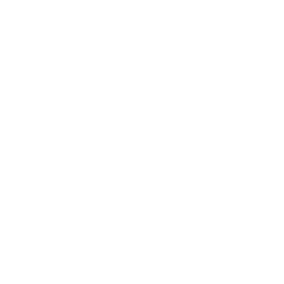 logo instagram